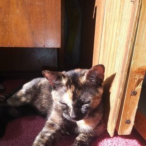 Meet your Posher, Jesse